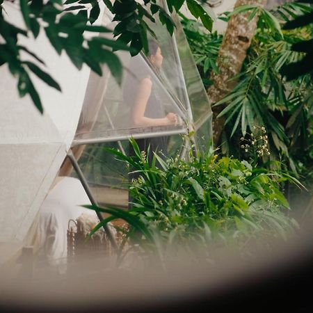 Lintang Luku Tent Resort Ijen, Banyuwangi Banyuwangi  Εξωτερικό φωτογραφία