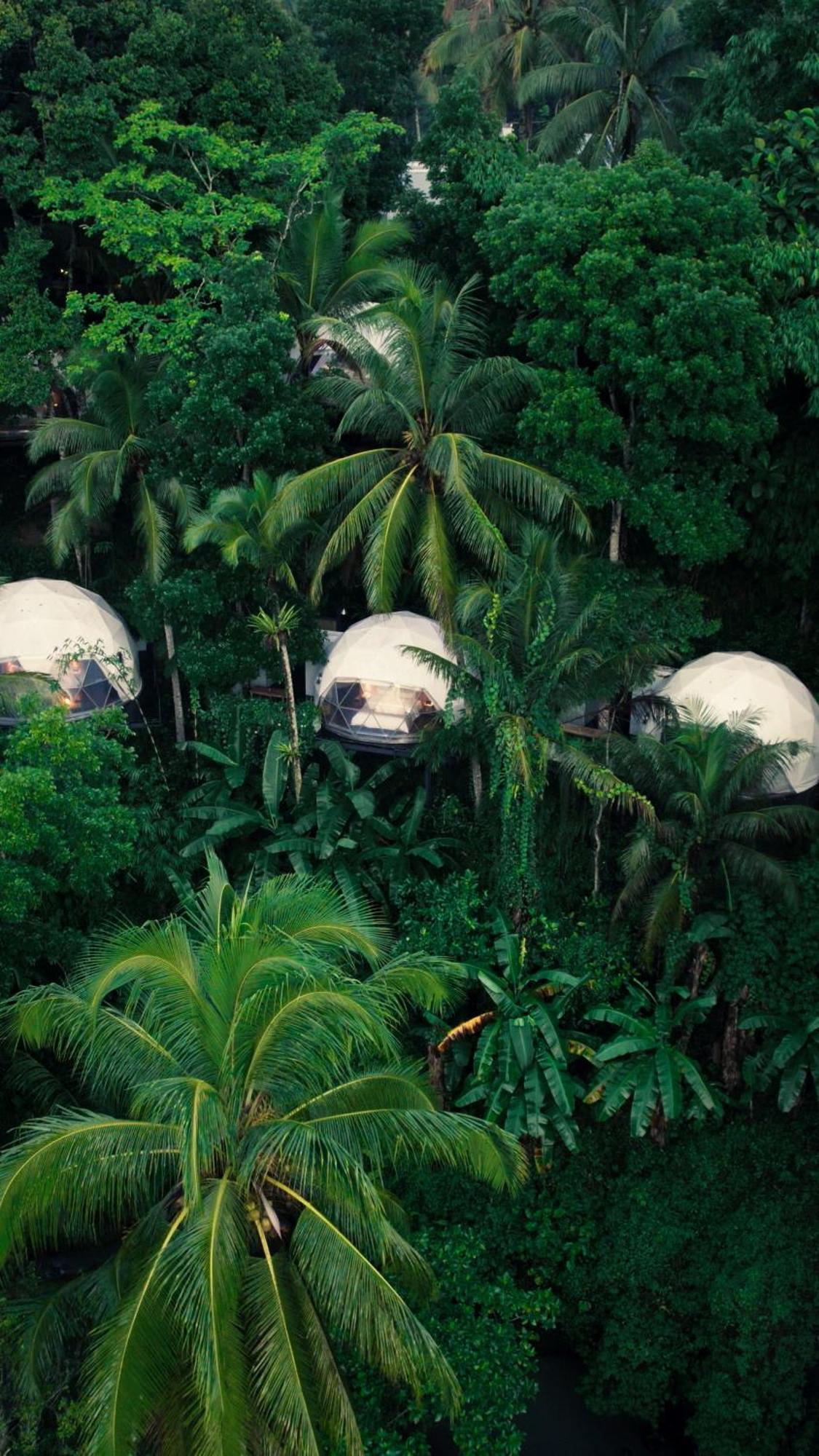 Lintang Luku Tent Resort Ijen, Banyuwangi Banyuwangi  Εξωτερικό φωτογραφία